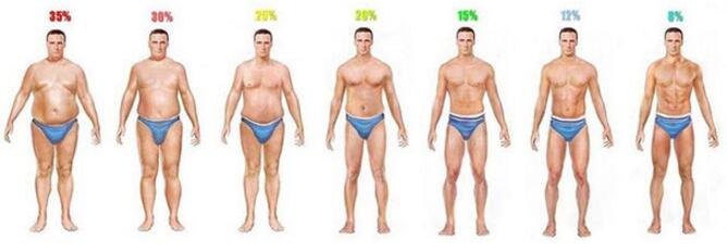 减肥瘦身减脂塑形健身chinaFitter 2812