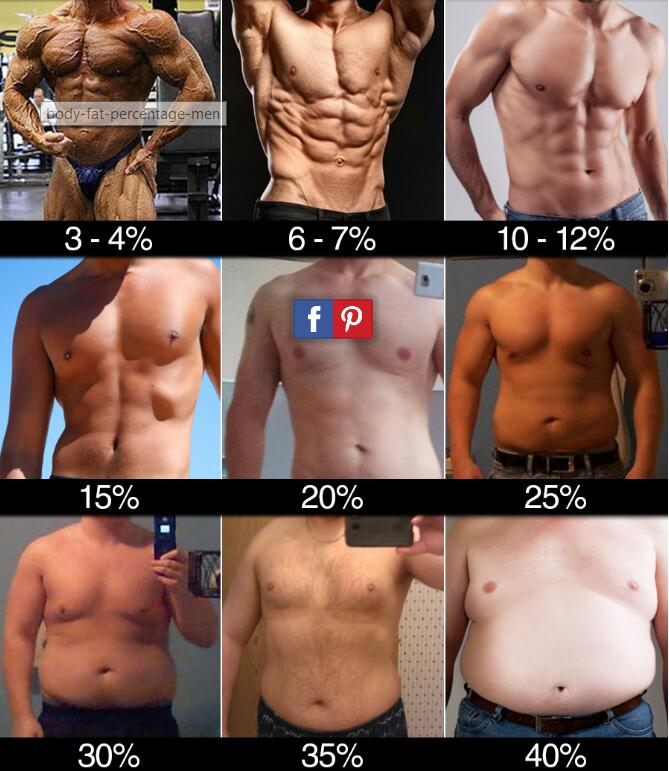 减肥瘦身减脂塑形健身chinaFitter 2813